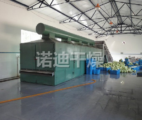 DWC系列脱水蔬菜带式干燥机