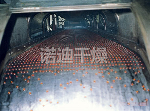 RL系列熔融造粒机